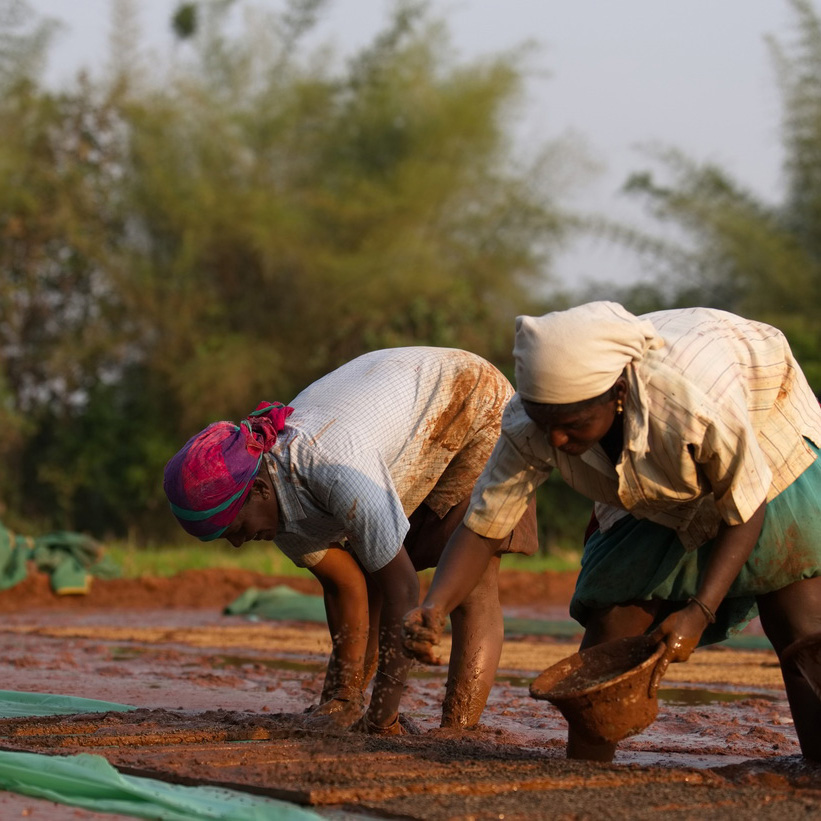Annam Farms — responsibly grown farm produce