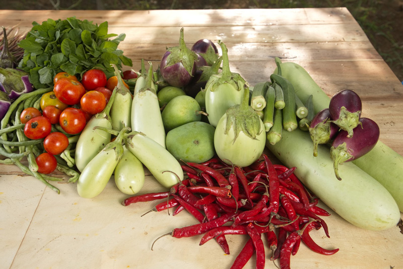 Natural Farming Inputs