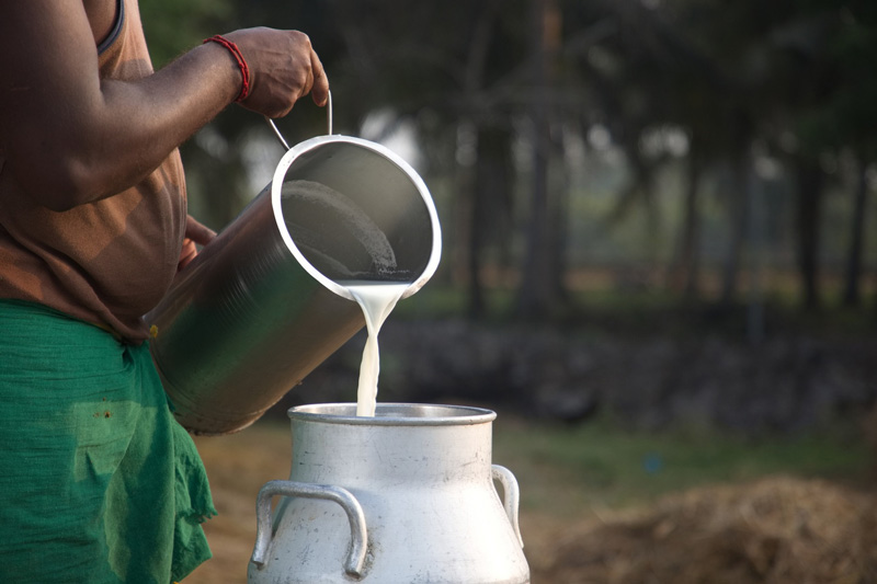 Our farming philosophy — nurturing the land and animals