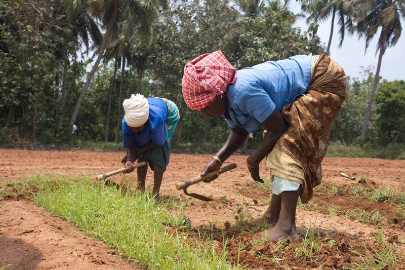 Responsible Farming